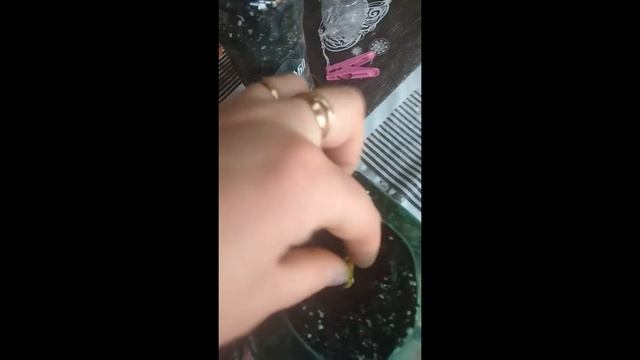 ФИСТАШКА ИЗ СЕМЯН !!!  МОЙ ОПЫТ. Посадила турецкую и киргизскую фисташку. 2022г