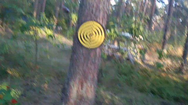 Как правильно играть в дарц(Балуемся