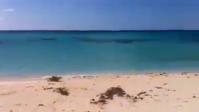 Bahia de las Aguilas. Dominican Republic, 2014 смотреть онлайн