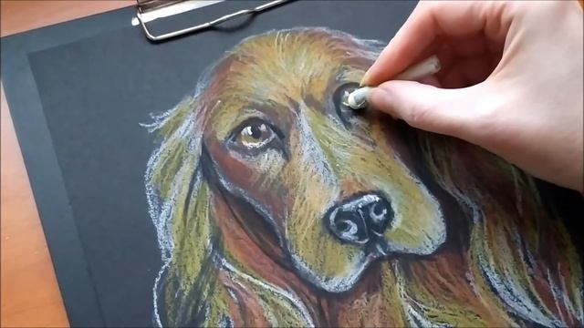 Рисуем спаниеля масляной пастелью! Timelapse. Draw a spaniel with oil pastels! смотреть онлайн