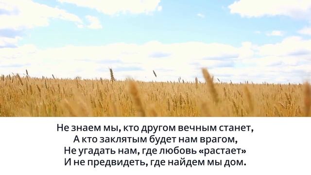 Очень душевный стих "А знаешь жизнь загадочная штука" Дмитрий Кудрявцев смотреть онлайн