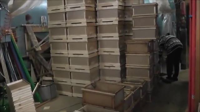 Готовим пасеку к формированию пчелопакетов смотреть онлайн