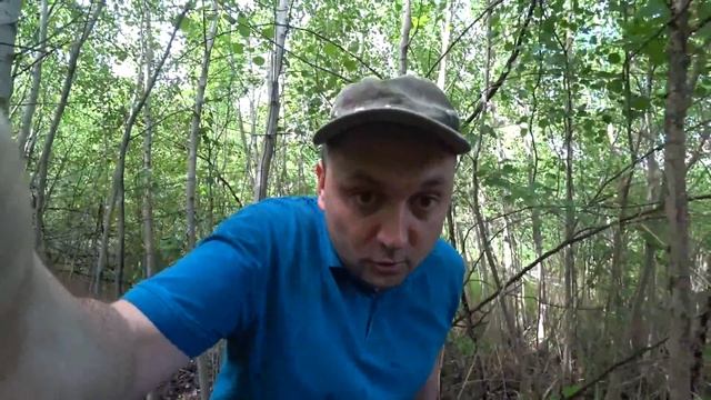 Ложные белые грибы. Разнообразие благородных грибов в июне. смотреть онлайн