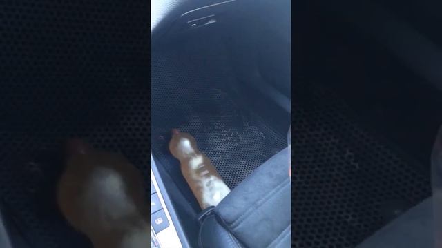 8 марта дари цветы правильно! смотреть онлайн