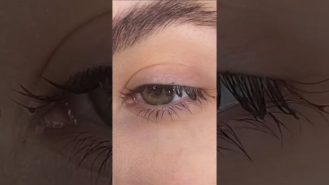 Окрашивание ресниц гель-краской Elan ?