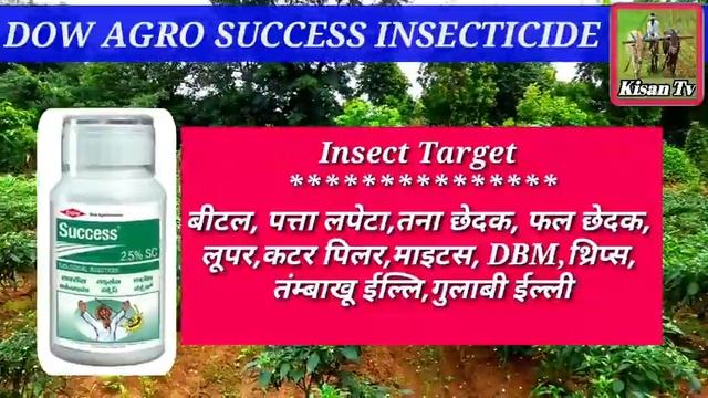 Success insecticide | Dow agro science| spinosad-2.5%sc| Success insecticide price dose work result смотреть онлайн