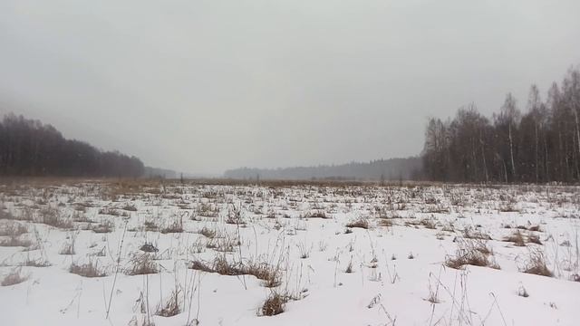 Падающий снег (Природа) смотреть онлайн