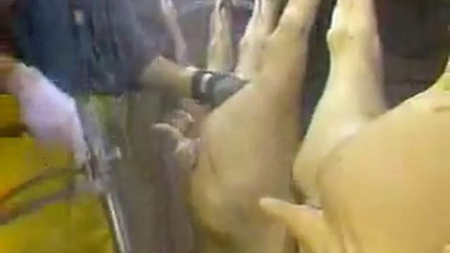 Инструмент HBD-1