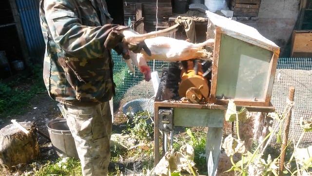 Перосъёмная машина для уток и гусей своими руками. Первое испытание. смотреть онлайн