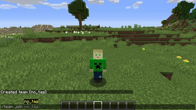 How to Make Name Tags Invisible in Minecraft смотреть онлайн