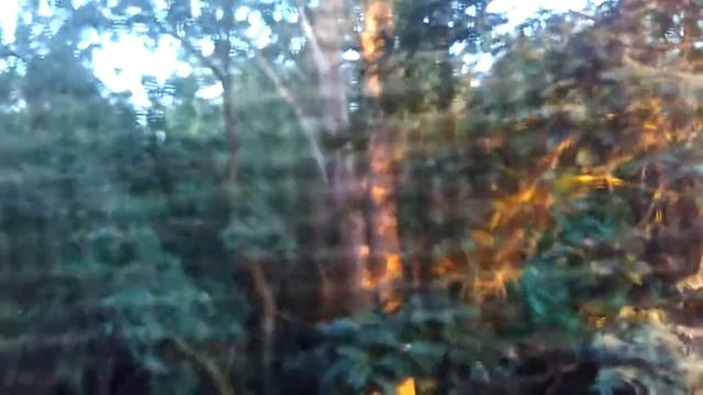 пос. Манас, база отдыха "Кунак", август 2017 | Каспийское море, Дагестан | Отдых на Кавказе смотреть онлайн