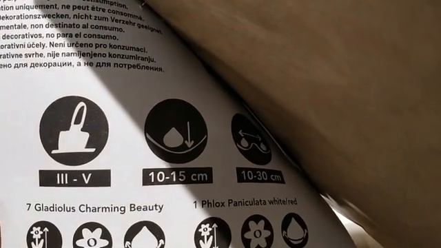 Какие цветы появились в Леруа Мерлен в апреле смотреть онлайн