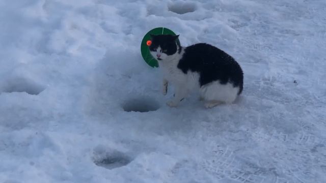 07–08.01.2023 база отдыха Литвиново смотреть онлайн