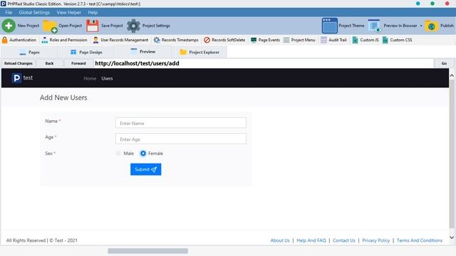 how to use PHPRAD custom js смотреть онлайн