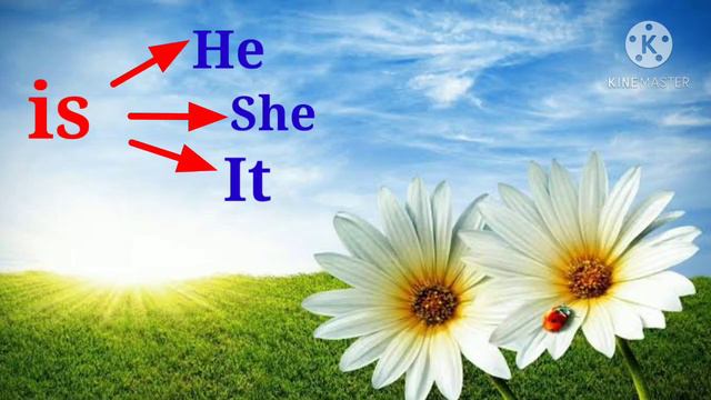 CLASS 2 - ENGLISH - LESSON 3 - MODULE 4 смотреть онлайн