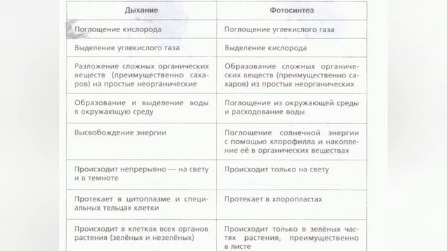 Краткий пересказ §15 Дыхание и обмен веществ у растений. Биология 6 класс Пономарёва смотреть онлайн