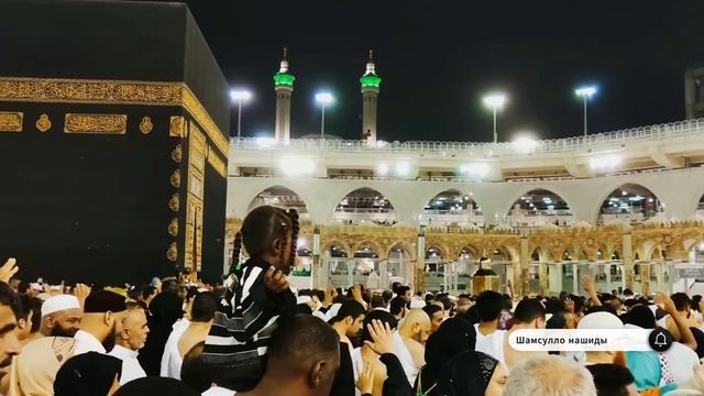 Коран сура Ан-Наср видео 4к Миншави -Minshawiy