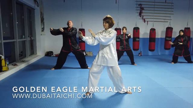 Dubai Tai Chi Training. Our Student’s experience. Ms. Caroline смотреть онлайн