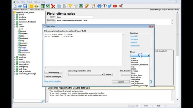 Configuring a calculated field in AppGini using the Query helper смотреть онлайн