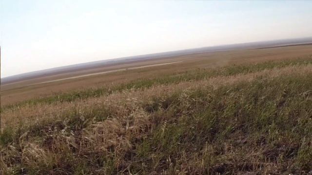 Охота на голубя с иж27