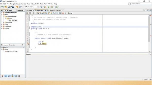 Input Statement in Computer Programming
