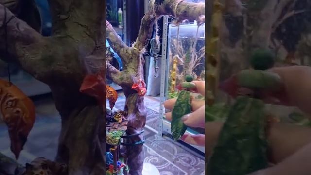 поделки смотреть онлайн