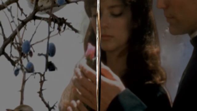 В ТЕРНОВНИКЕ О Орлова Черкасов Монтаж Л Ярощук смотреть онлайн