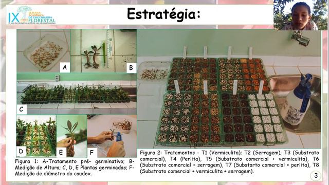 GERMINAÇÃO E CRESCIMENTO INICIAL DE Adenium obesum EM DIFERENTES SUBSTRATOS смотреть онлайн