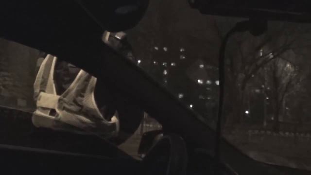 ГАИ Николаева БЕСПРЕЧИННАЯ остановка. смотреть онлайн