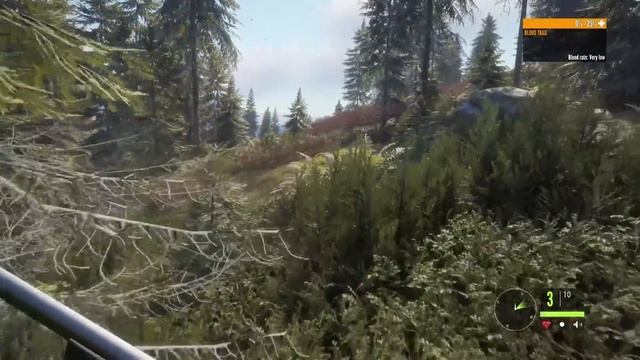 1000lbs Elk Hunt! - theHunter: Call of the Wild #9 смотреть онлайн