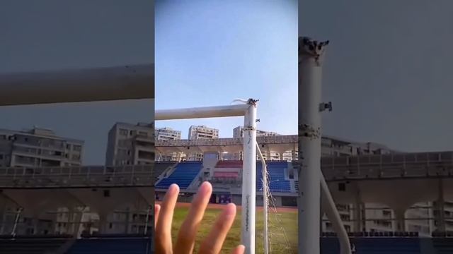 летучая мышь напала на человека смотреть онлайн