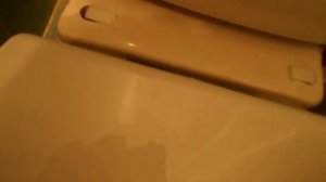 Унитаз ремонт своими руками.Падает крышка унитаза.Что делать как устраннить.