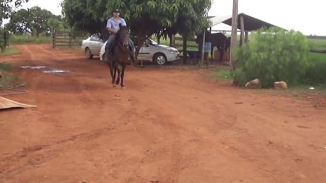 Segredo do Recanto dos tropeiros смотреть онлайн
