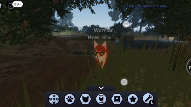 Играю в Warrior Cats
