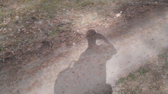 Дачачилл 1 | Не поступил и живу на даче, делаю видосы | Битбокс в лесу смотреть онлайн