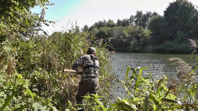 Рыбалка на поплавок. Расчистка зарослей тростника и подготовка места. #shorts смотреть онлайн