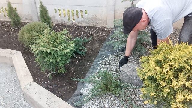 Позбавтесь проблем з квітником: Як щебінь у мульчі може змінити ваш сад смотреть онлайн