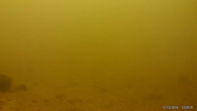 Подводная съемка р.Ока смотреть онлайн