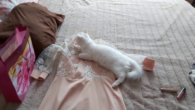 VLOG: забрала платье на новый год! 30.12.2019 смотреть онлайн