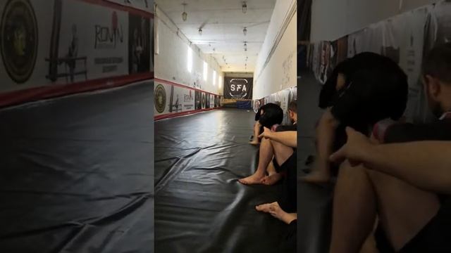 Бразильское джиу джитсу