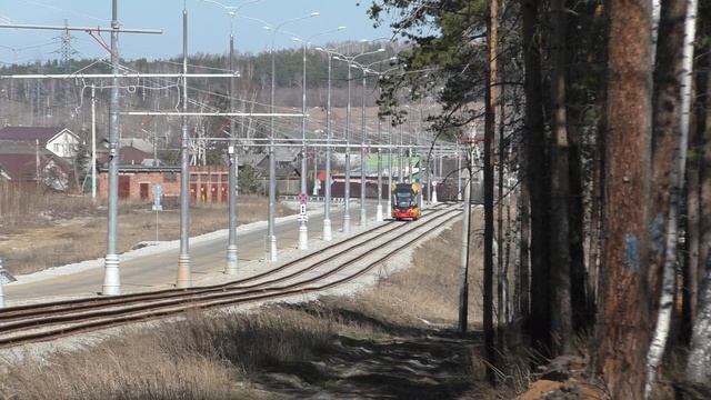 Лесные "Львята" на междугородней трамвайной линии Екатеринбург — Верхняя Пышма смотреть онлайн