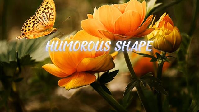 Humorous Shape - DJ BAI ( Capcut Music Beat) смотреть онлайн