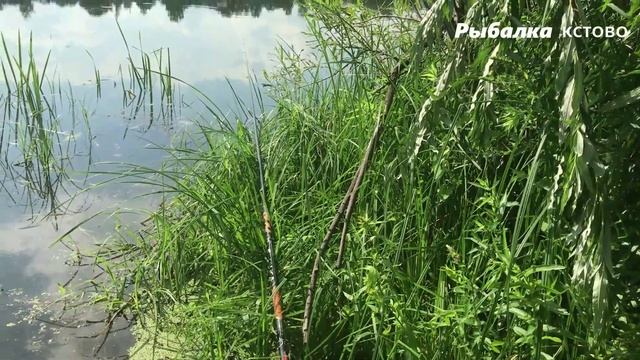 КАК В ЖАРУ НАЙТИ МЕСТО ГДЕ ЕСТЬ ПОДЛЕЩИК смотреть онлайн