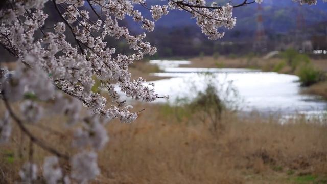 Народные приметы на апрель 2022: что означает каждый день месяца смотреть онлайн