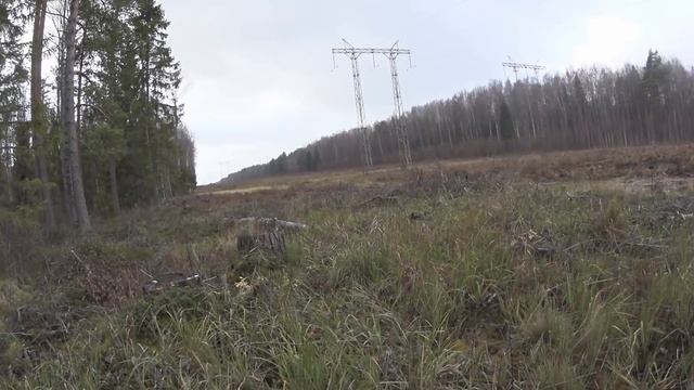 Охота на лося загоном 26 10 19 смотреть онлайн