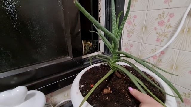 VLOG/ Праздничный плов. дни рождения не заканчиваются. Нет настроения всё время плохие новости. смотреть онлайн