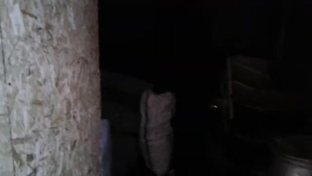 приём лома г пермь смотреть онлайн