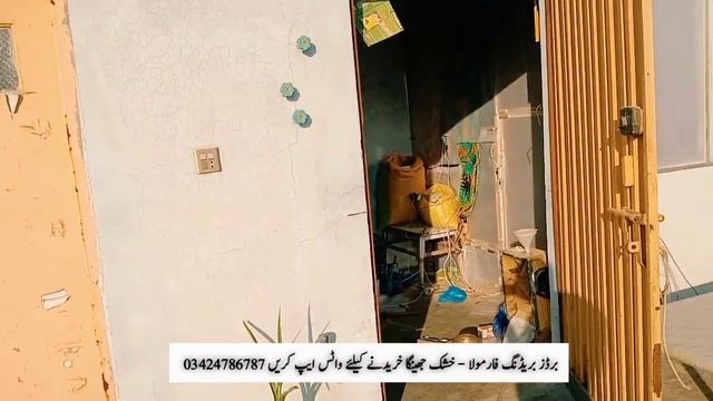 Temperature Control Shed For Birds | Zebra Finch | Java Sparrow | Mini Zoo смотреть онлайн