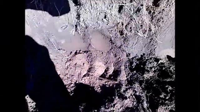 Удачный шурф. Ищем сибирские монеты. смотреть онлайн