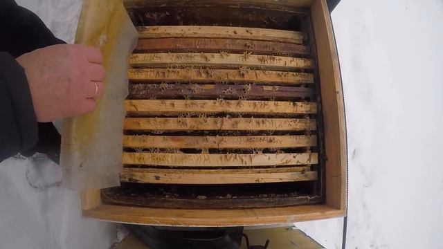 Клуб у задней стенки Что делать? Зимовка пчел. Осмотр пчел зимой. смотреть онлайн